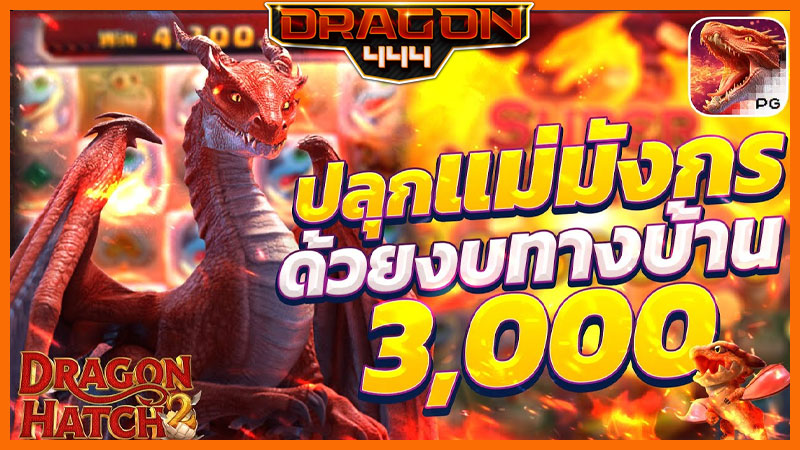 สล็อต ดราก้อนแฮตช์